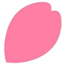 Cherry blossom petal