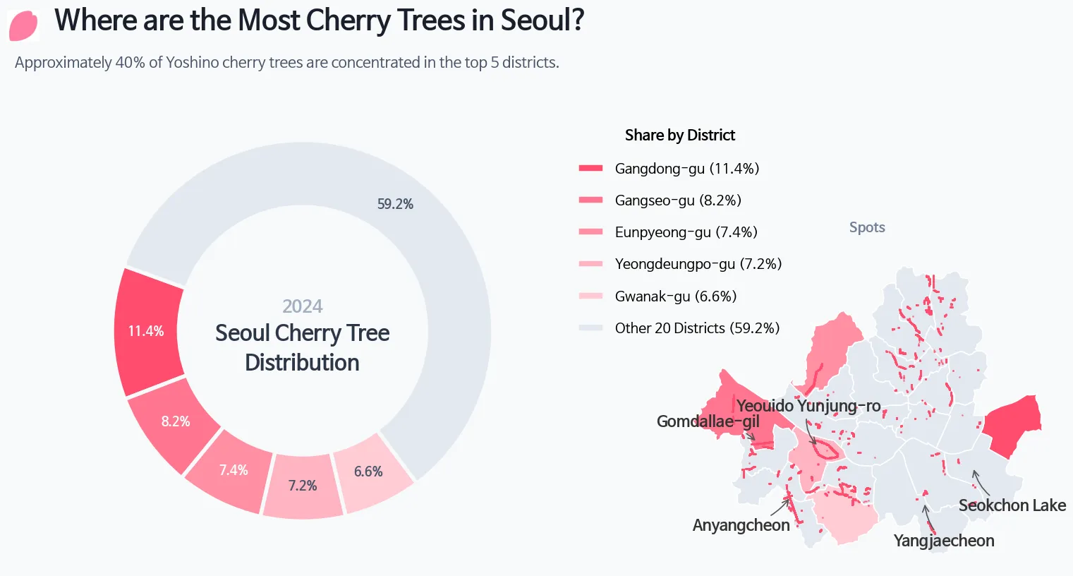 Final donut chart with minimap